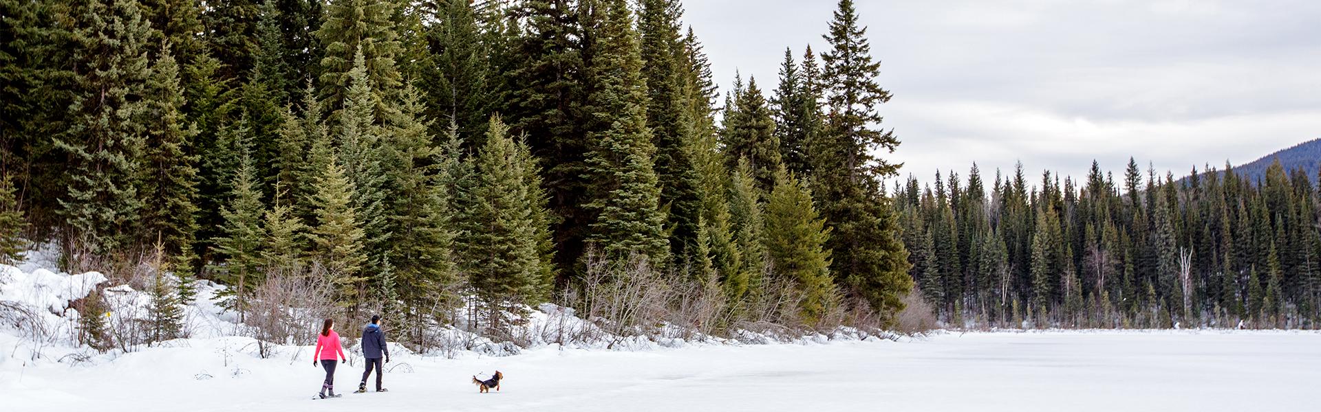 A couple snowshoeing on Hallis Lake