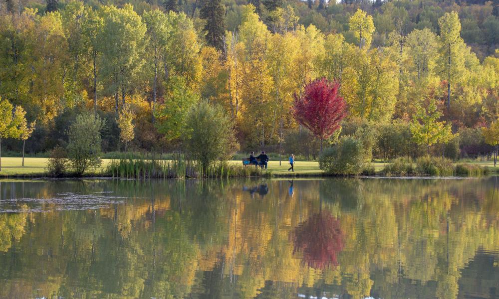 Looking across the pond and beautiful fall colours at West Fraser Timber Park