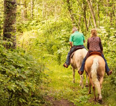 Two people on horseback surrounded by lush green forest