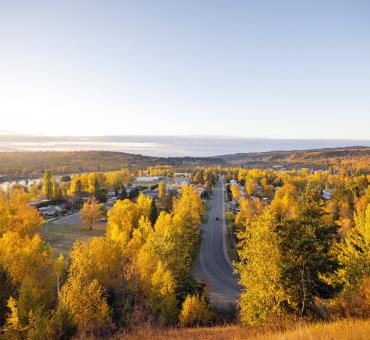 West Quesnel in full fall bloom