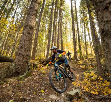 Mountain bikers riding through the forest with fall colours