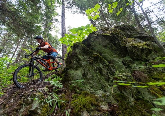 Mountain biker riding down a steep trail surrounded by rock and forest