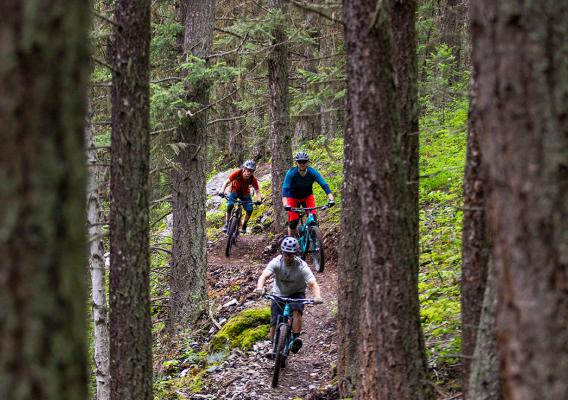 Three mountain bike riders shredding through trees