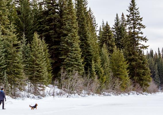 A couple snowshoeing on Hallis Lake